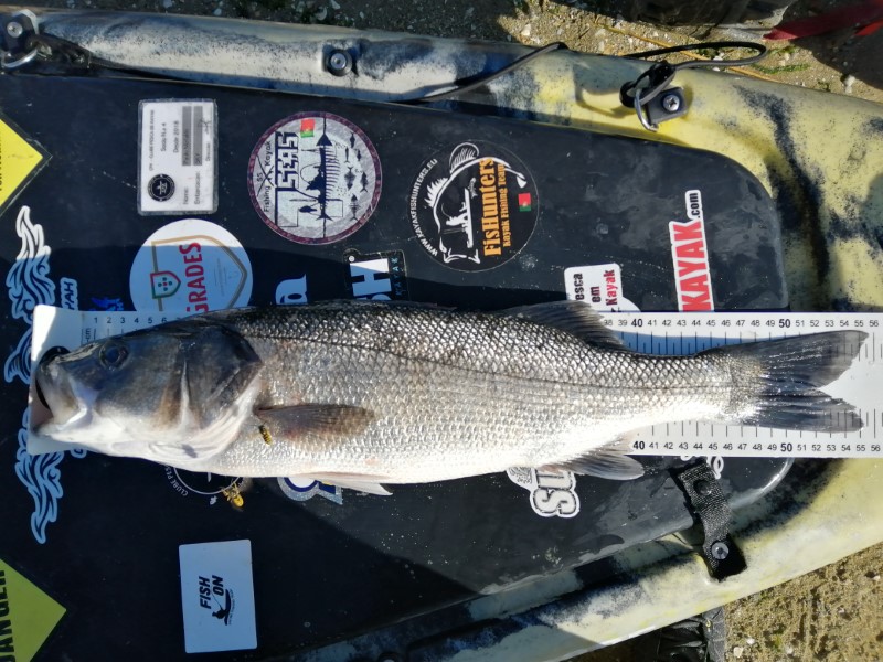 Fish Measure Picture