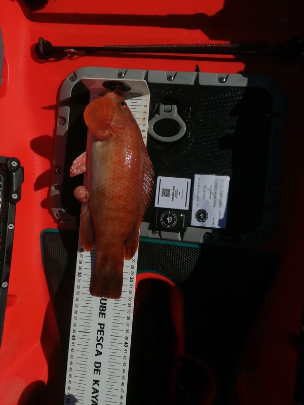Fish Measure Picture