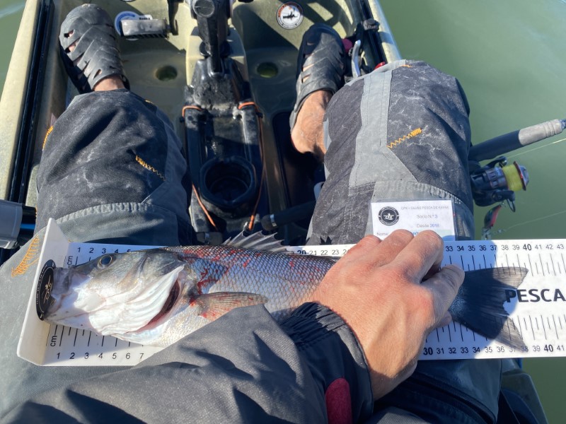 Fish Measure Picture
