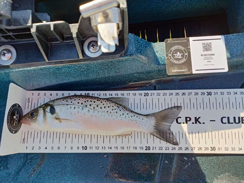 Fish Measure Picture