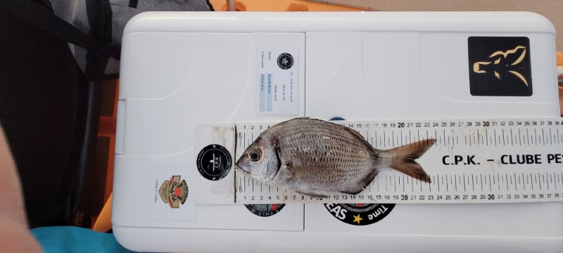 Fish Measure Picture