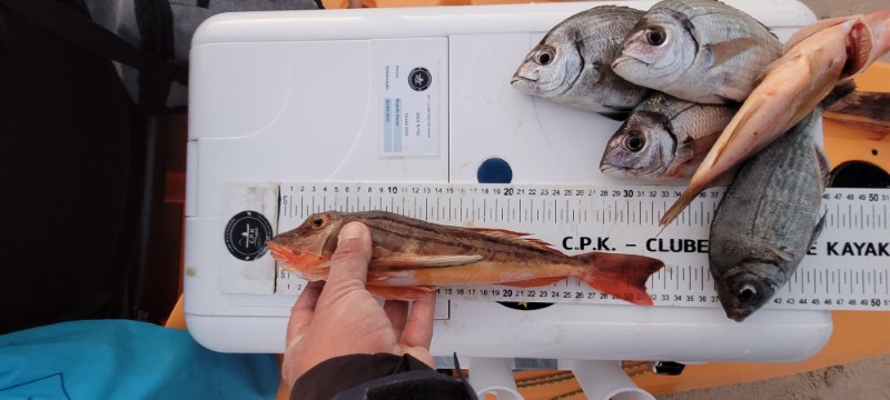 Fish Measure Picture