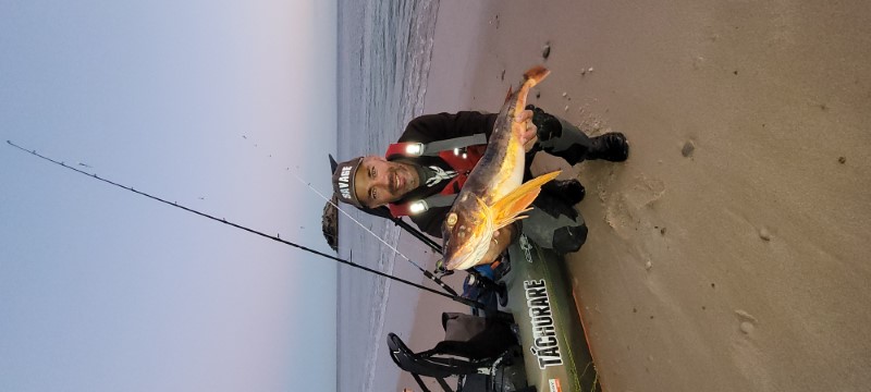 Fish Profile Picture