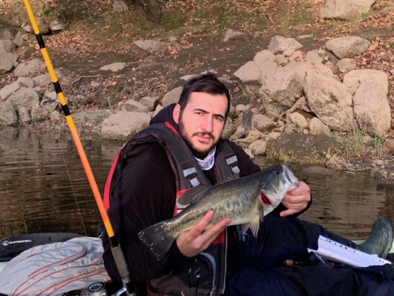 Fish Profile Picture