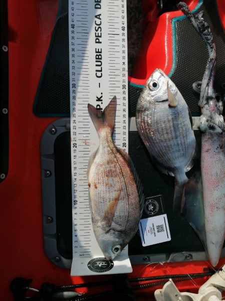 Fish Measure Picture