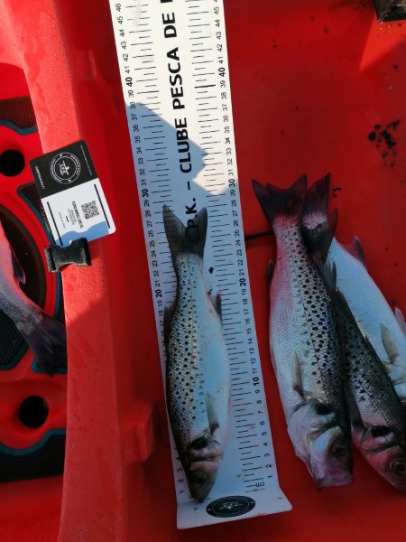 Fish Measure Picture