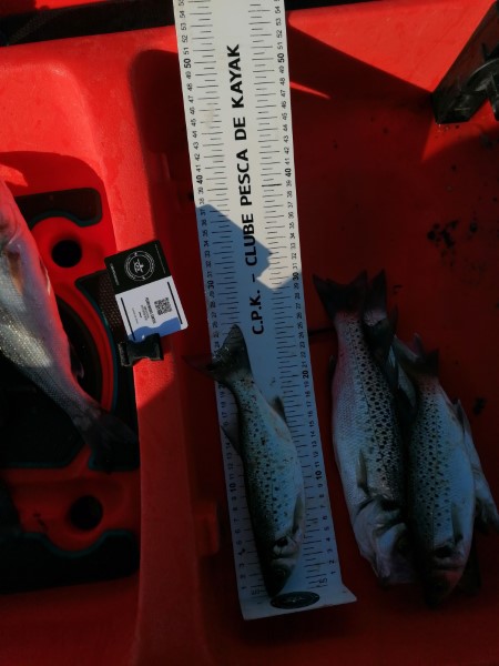 Fish Measure Picture