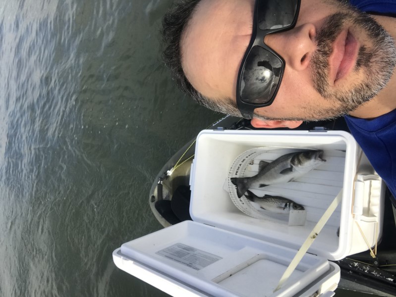 Fish Profile Picture