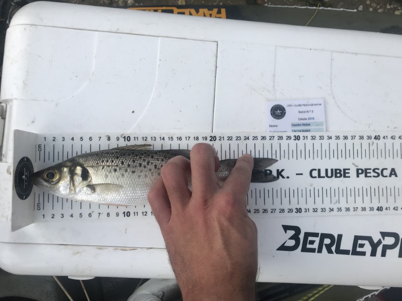 Fish Measure Picture