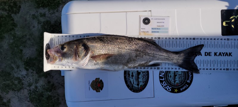Fish Measure Picture
