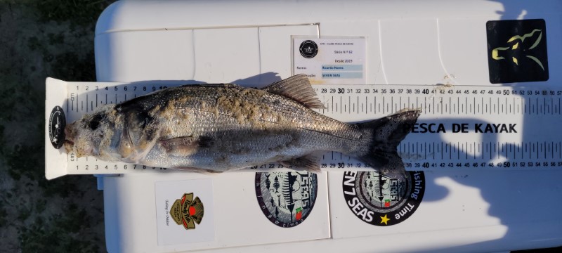 Fish Measure Picture