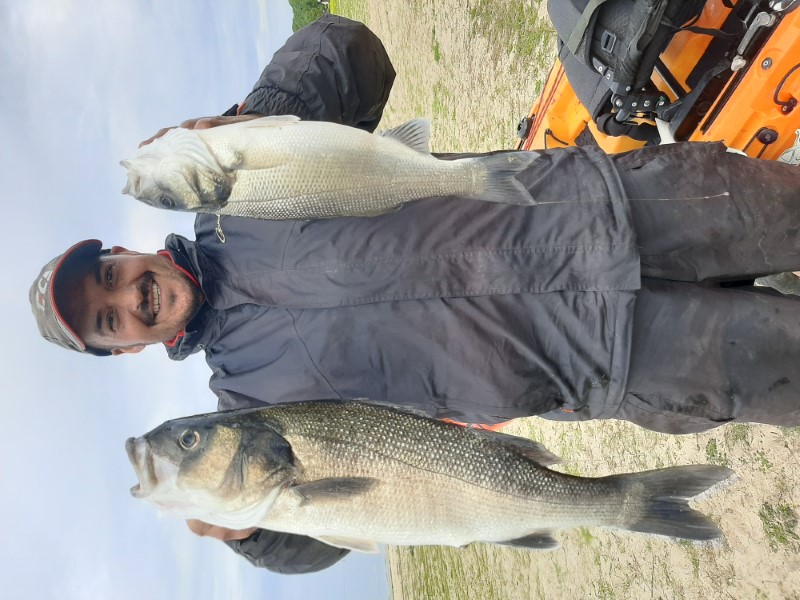 Fish Profile Picture