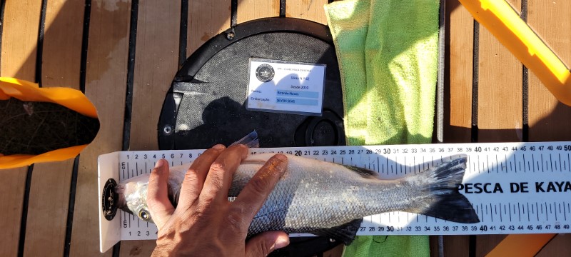 Fish Measure Picture