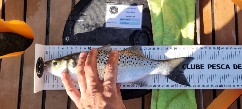 Fish Measure Picture