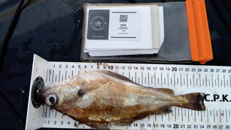 Fish Measure Picture