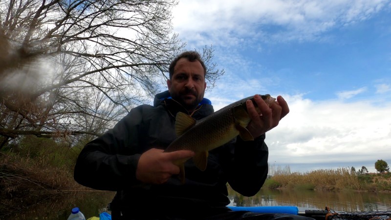 Fish Profile Picture