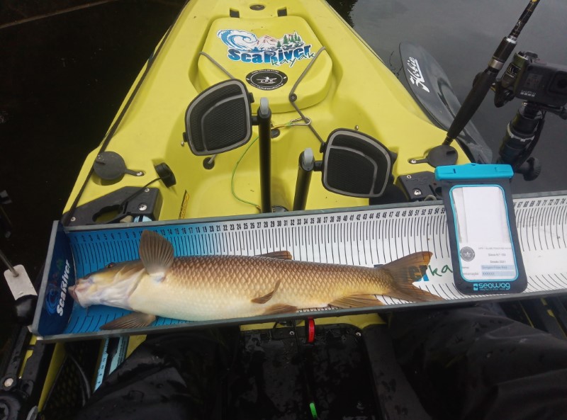 Fish Measure Picture