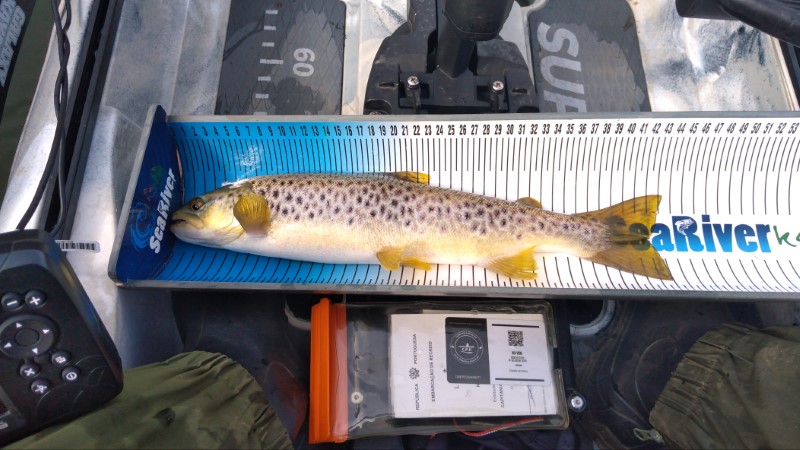 Fish Measure Picture