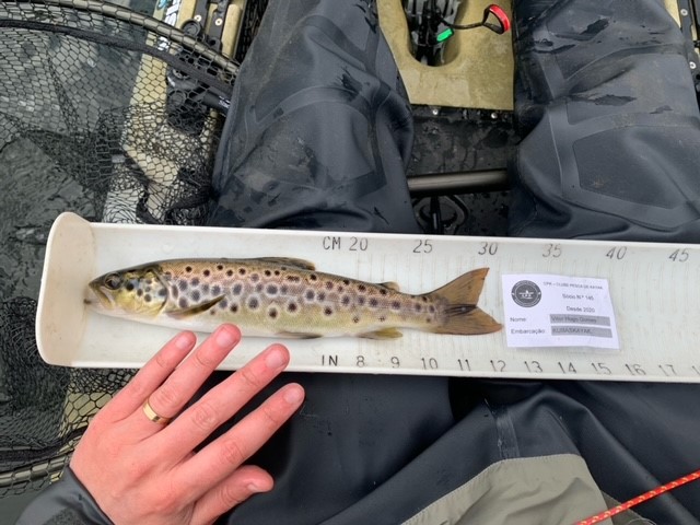 Fish Measure Picture
