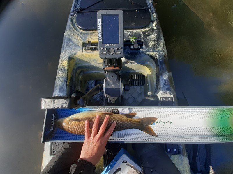 Fish Measure Picture