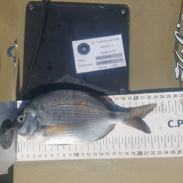 Fish Measure Picture