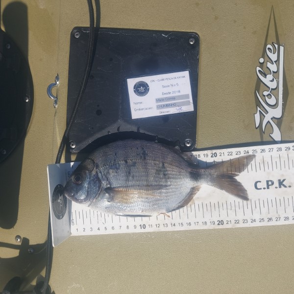 Fish Measure Picture