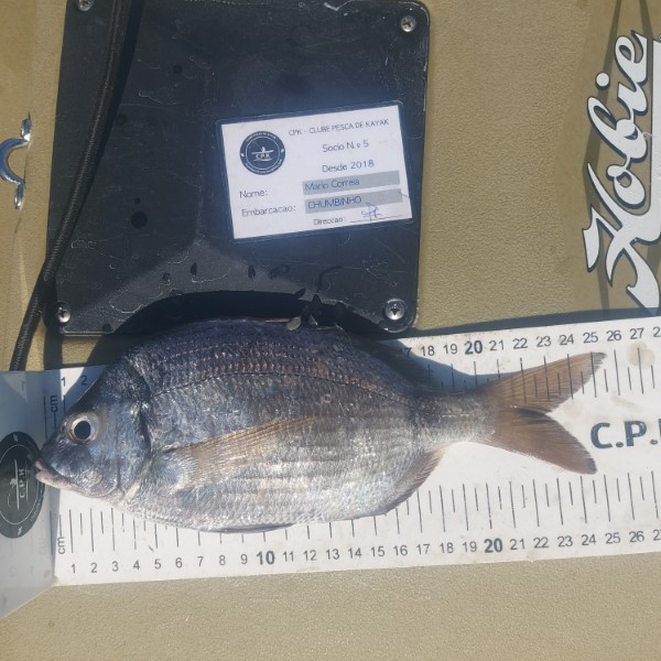 Fish Measure Picture