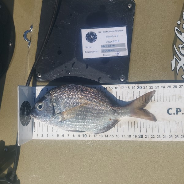 Fish Measure Picture