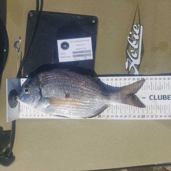 Fish Measure Picture