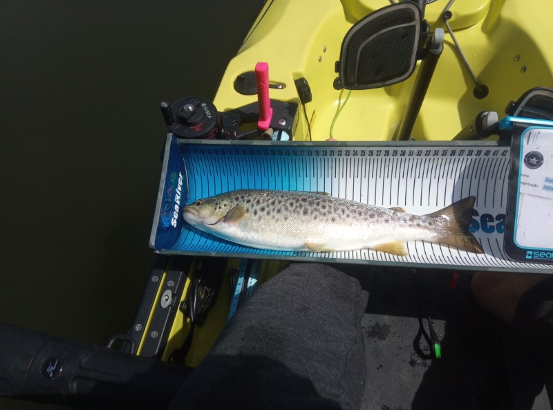 Fish Measure Picture