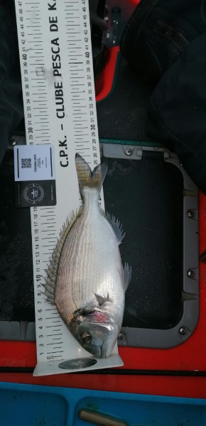 Fish Measure Picture