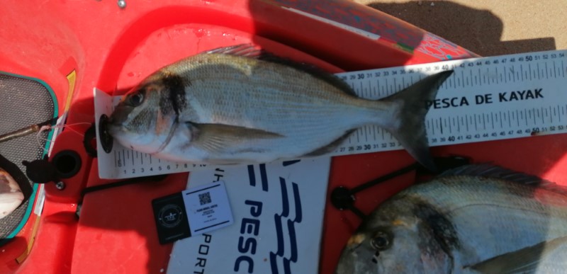 Fish Measure Picture