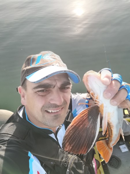 Fish Profile Picture