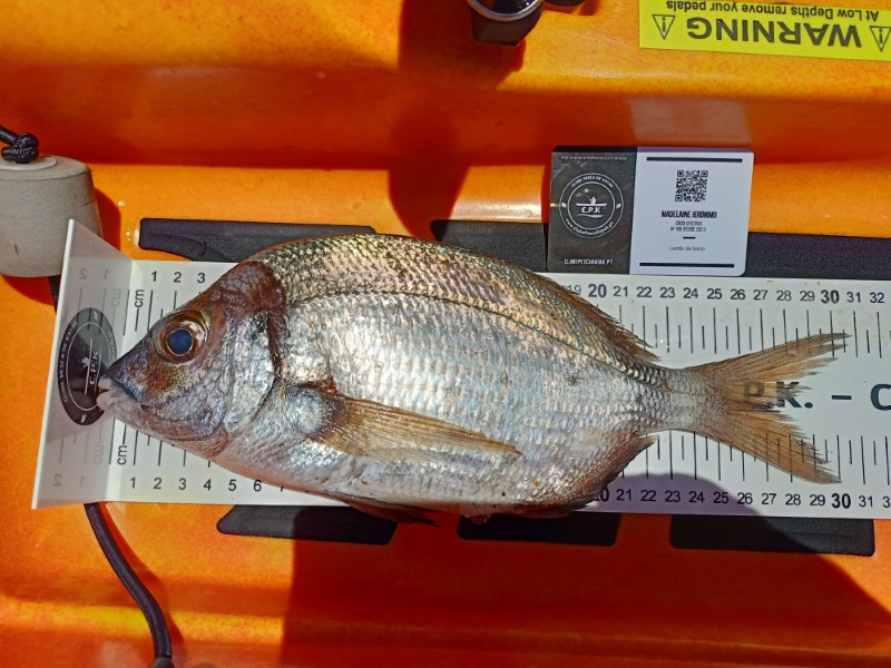 Fish Measure Picture