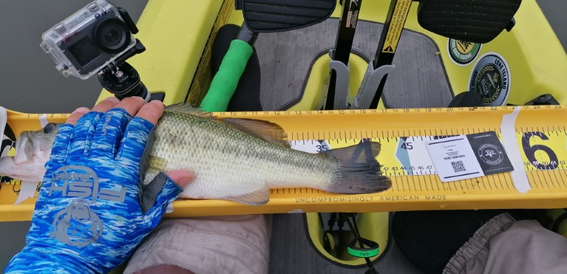 Fish Measure Picture