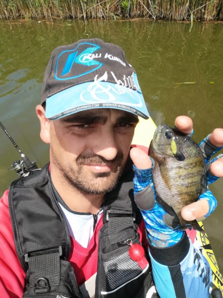 Fish Profile Picture