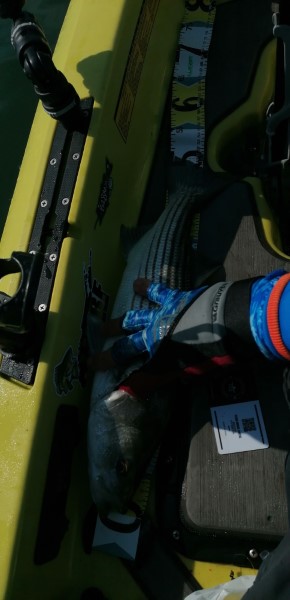 Fish Measure Picture