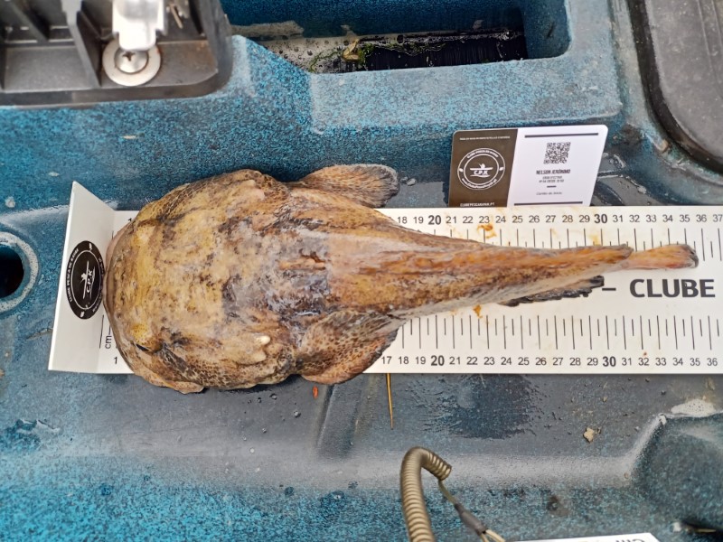 Fish Measure Picture