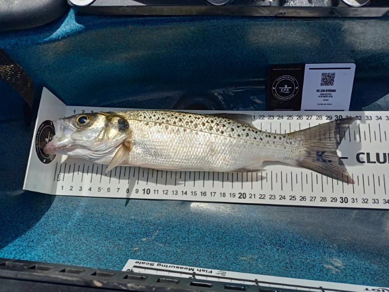 Fish Measure Picture
