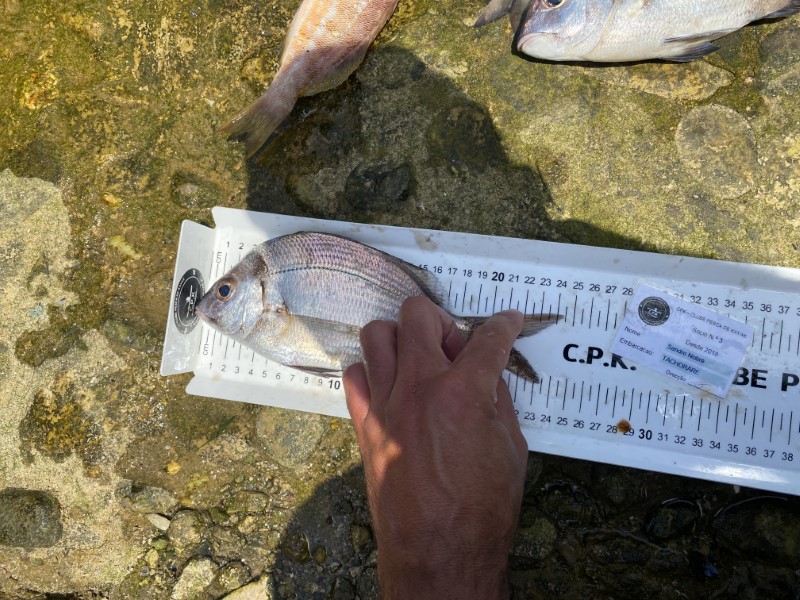 Fish Measure Picture
