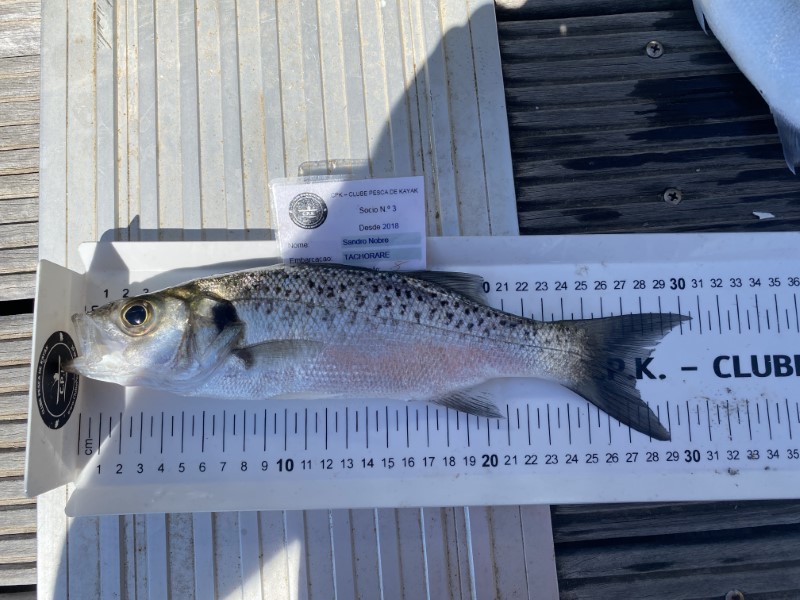 Fish Measure Picture