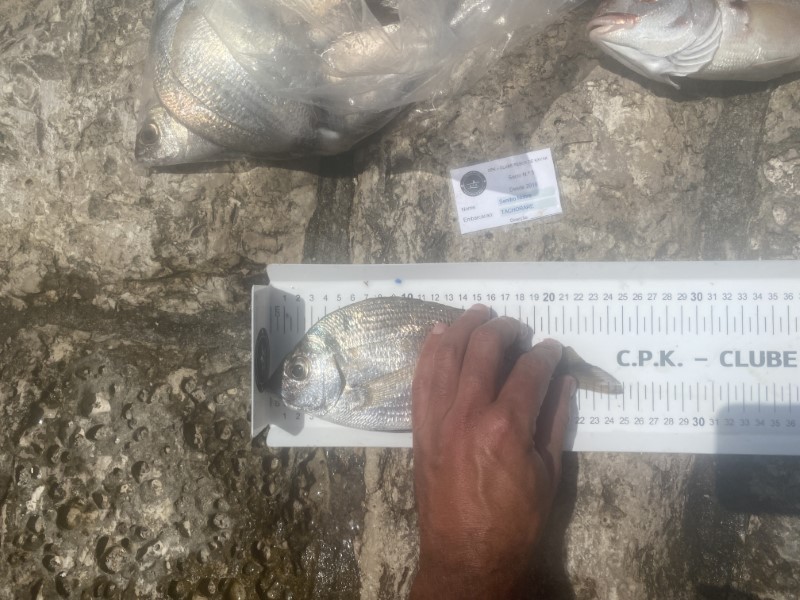 Fish Measure Picture
