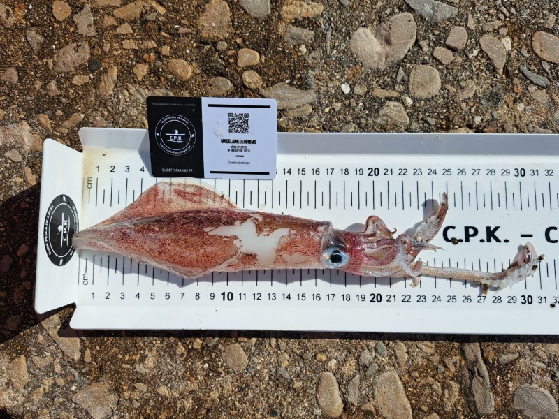 Fish Measure Picture