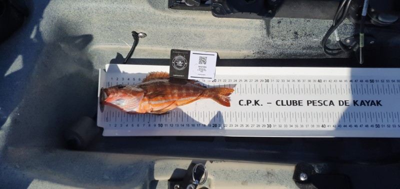 Fish Measure Picture