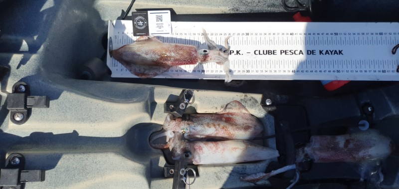 Fish Measure Picture
