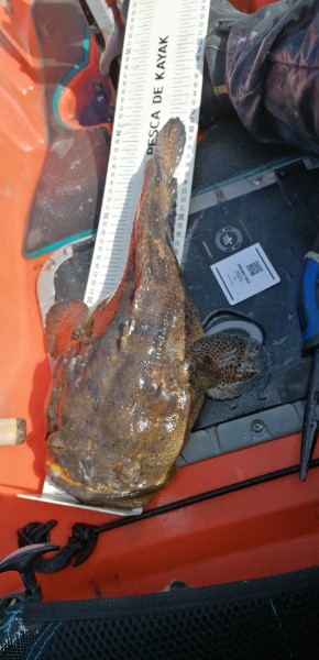 Fish Measure Picture