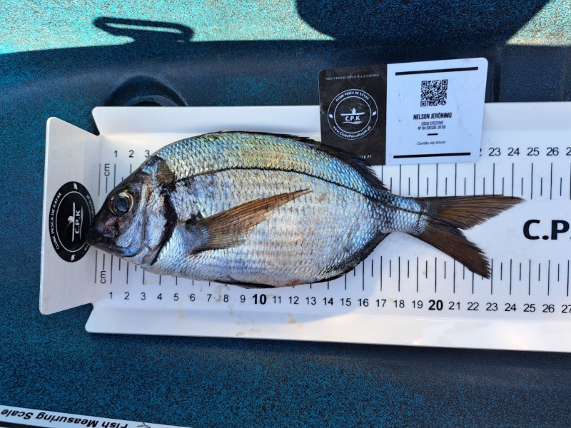 Fish Measure Picture