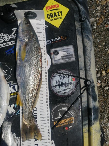 Fish Measure Picture