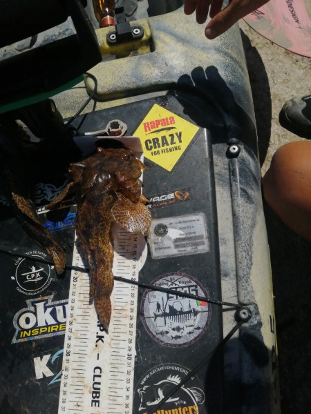 Fish Measure Picture