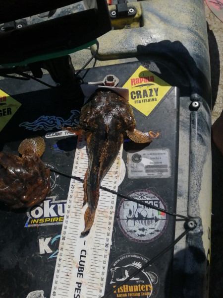Fish Measure Picture